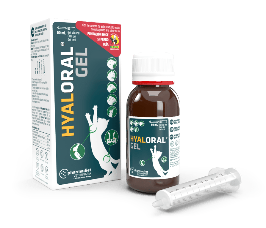 Hyaloral Gel