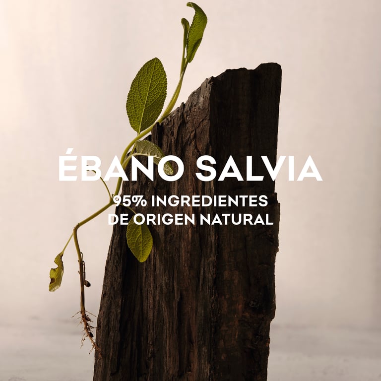 Ébano Salvia EDP 120 ml de Adolfo Dominguez