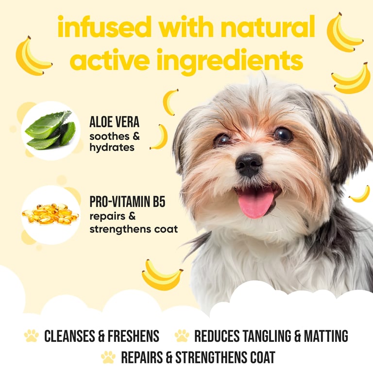 Bananenduftendes Hundeshampoo - imagen 3 de 13