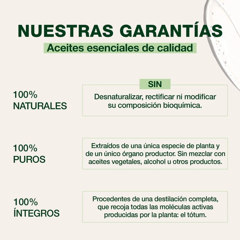 Loción Spray Repelente de Insectos Flash - imagen 3 de 6