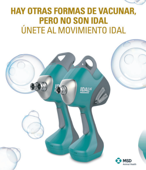 Oscan - imagen 4 de 4