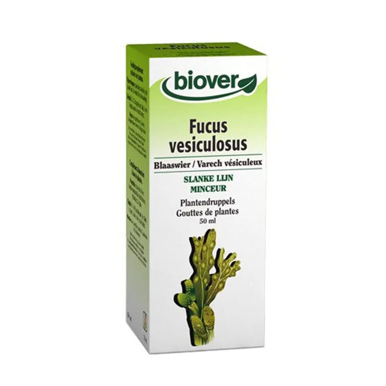 FUCUS Vesiculosus