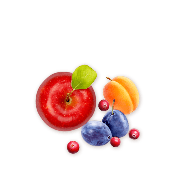 Bio-Bananen Chips - imagen 2 de 9
