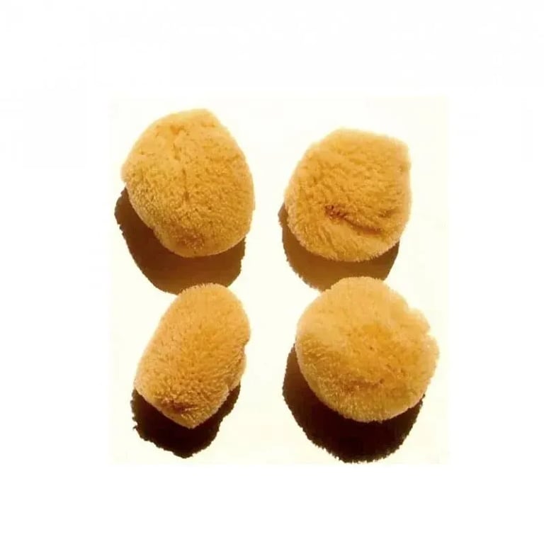 Esponja Facial