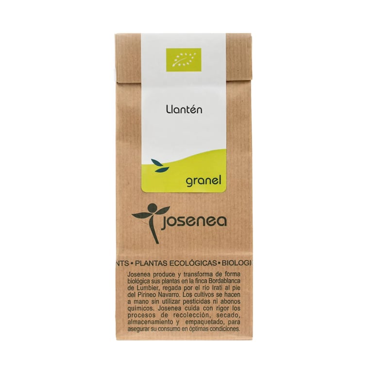 Grand Plantain Bio en Vrac