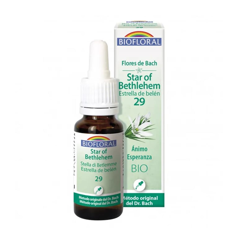 Olio di Fiori di Bach Stella di Betlemme 29 Bio