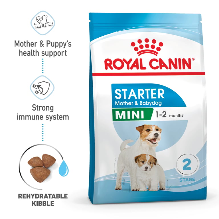 Mousse Starter Mother & Babydog - imagen 6 de 7