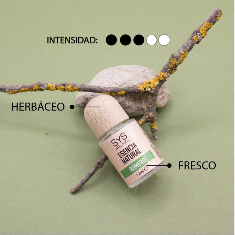 Esencial Romero - imagen 6 de 11