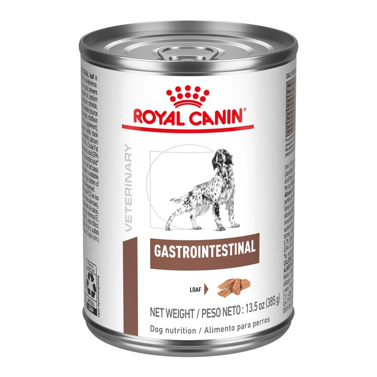 Veterinär Gastrointestinal Hunde