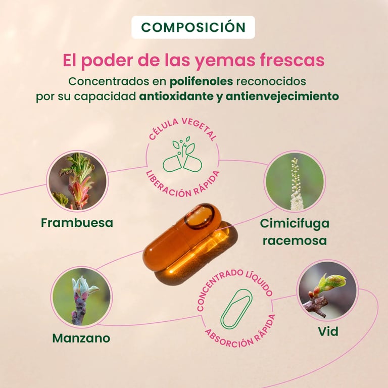 Gemmocaps Périménopause Bio - imagen 3 de 5
