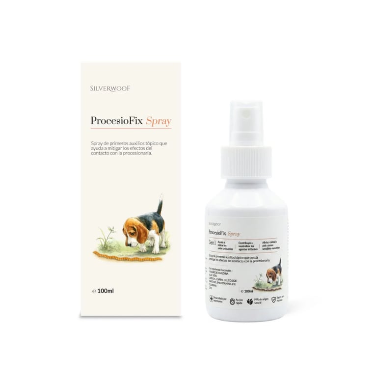 Procesiofix Spray