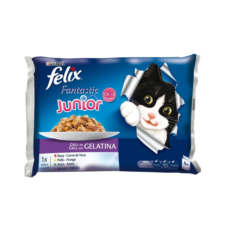Junior Fantastic Selección Favoritas En Gelatina