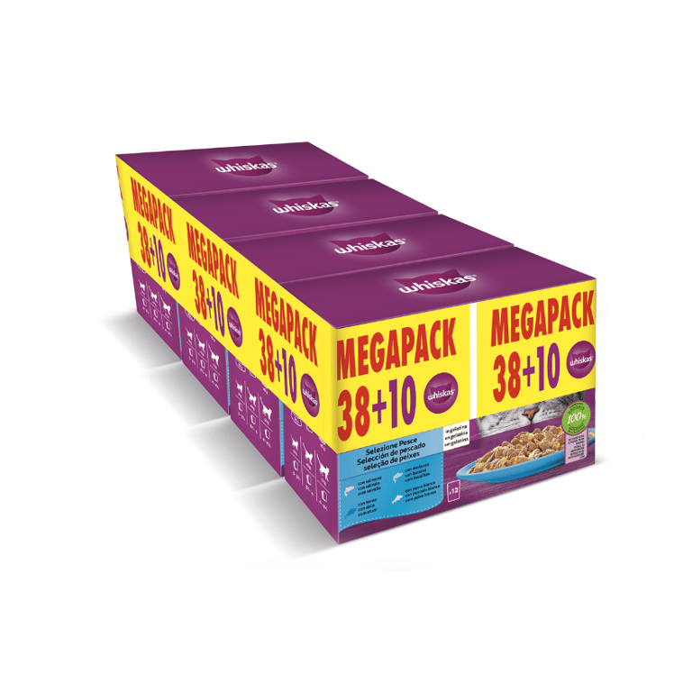 Bundle Core Sélection Poisson