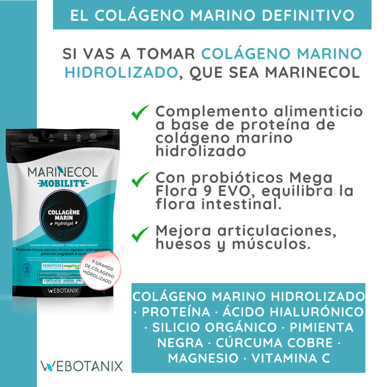 Mobility - imagen 10 de 13