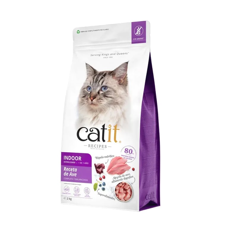 Penso Gatto Sterilizzato Recipes Uccelli