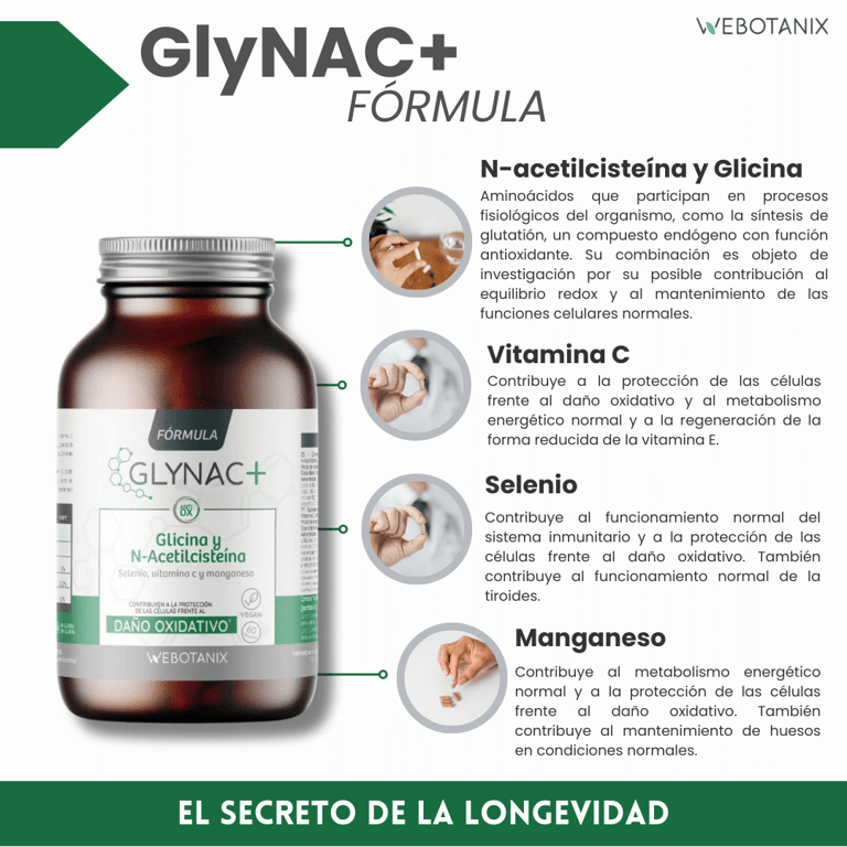 GlyNAC Formule - imagen 6 de 10