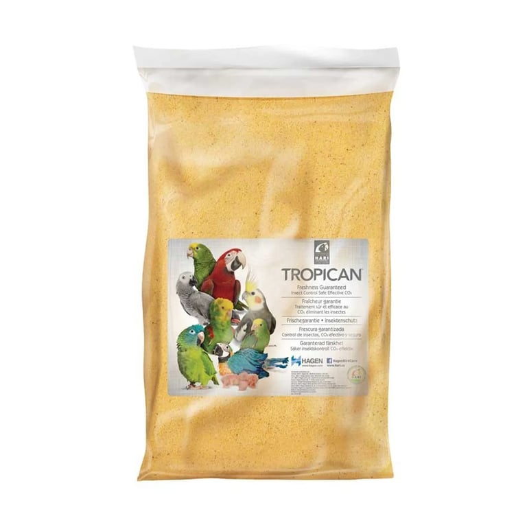 Tropican Papilla