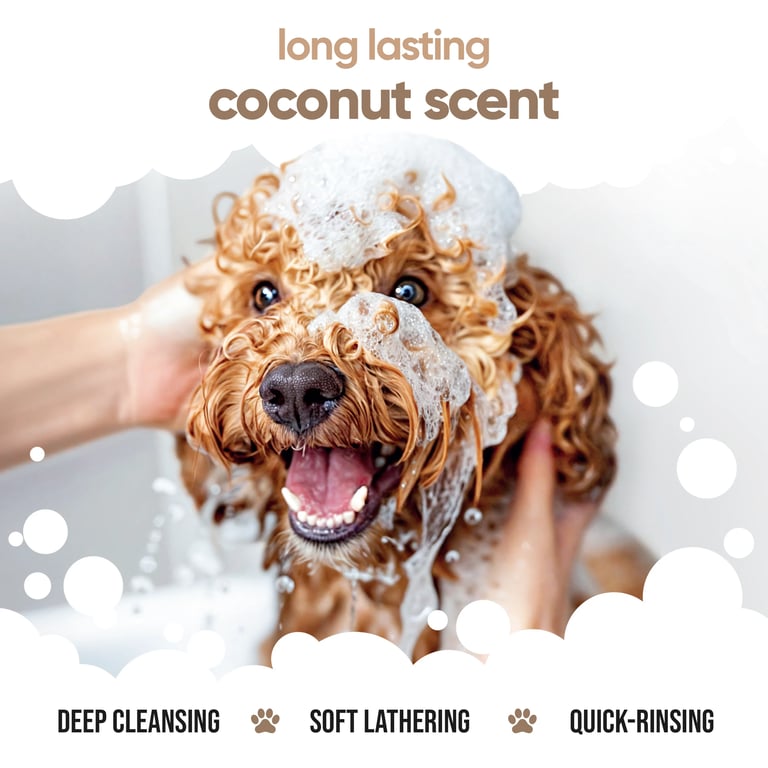 Shampooing Sec 2en1 Chiens Coco - imagen 6 de 10