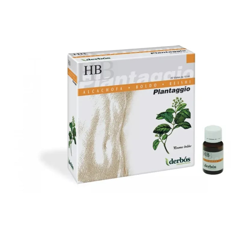 Plantaggio HB
