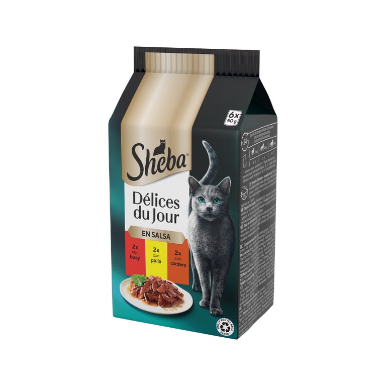 Délices Du Jour Carnes en Salsa