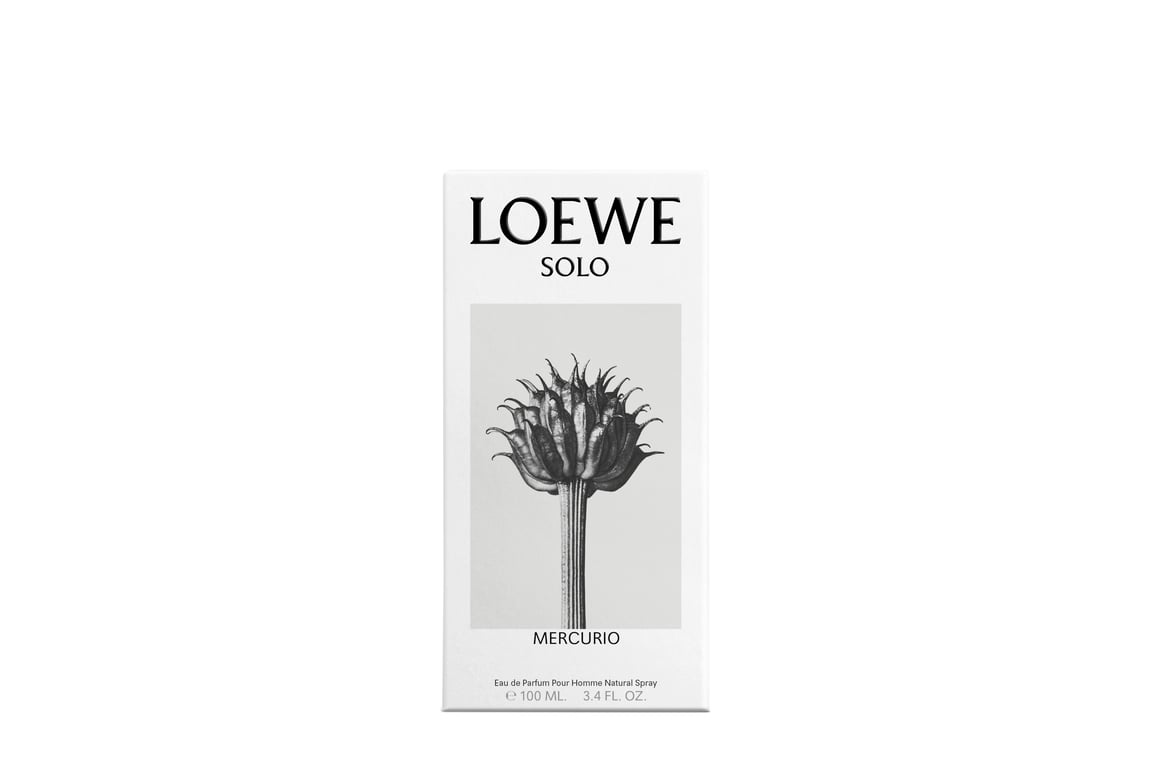 Solo Loewe Mercurio EDP 100 ml de Loewe