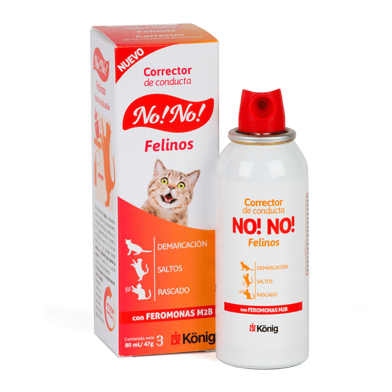 No No Feline