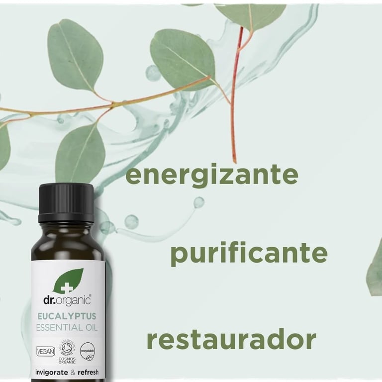 Olio Essenziale Eucalipto Globulus Bio Puro - imagen 2 de 4