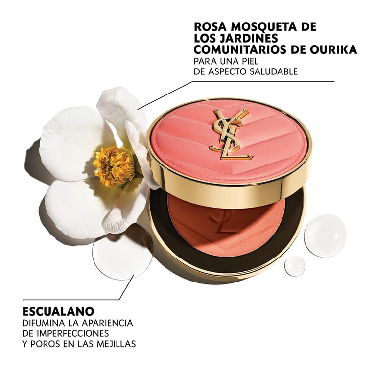 Fais-Moi Rougir Audacieux Floutage #12 de Yves Saint Laurent