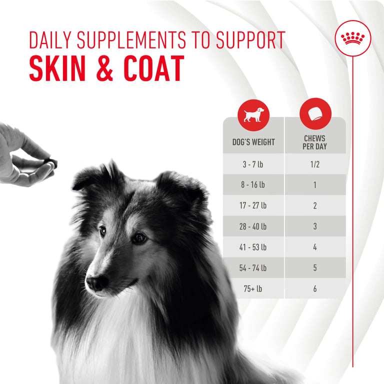 Skin Coat Chews Pelle e Pelo - imagen 4 de 8