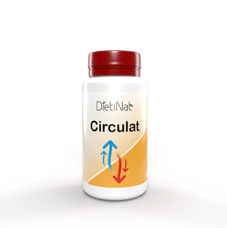 Circulatoire Veinal - imagen 3 de 3