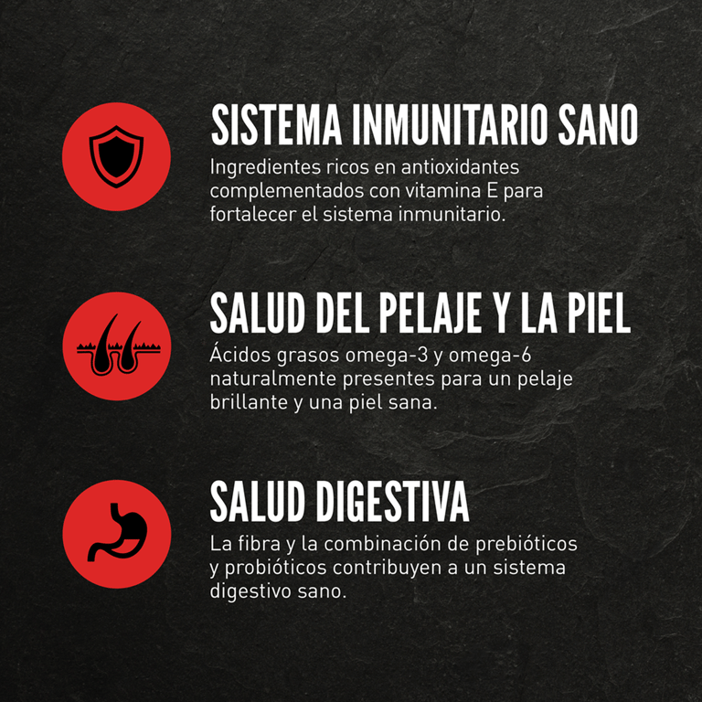 Dry Regional Red Dog - imagen 9 de 13