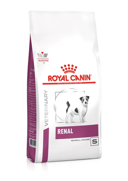 Vétérinaire Rénal Petits Chiens