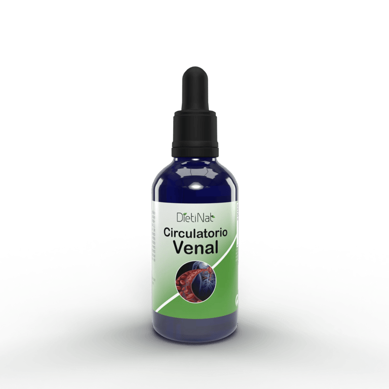 Circulatoire Veinal