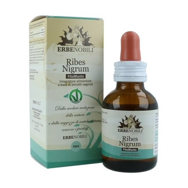 Fitoblasto Ribes Nigrum