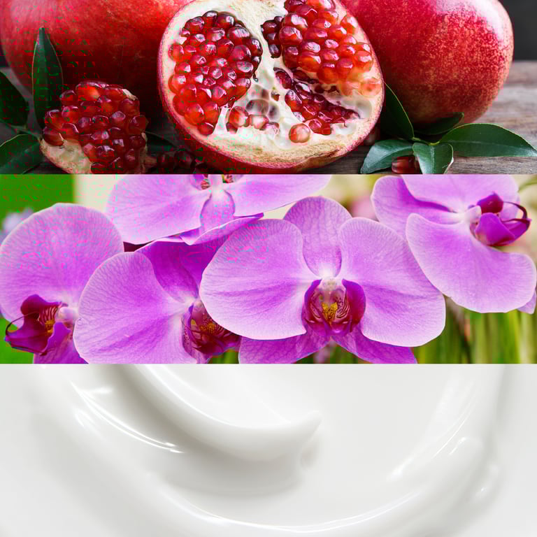 EUPHORIA EDP VAPORIZADOR 100 ML de Calvin Klein