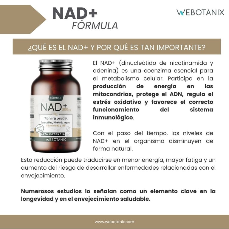 NAD+ Resveratrol Fórmula - imagen 4 de 7