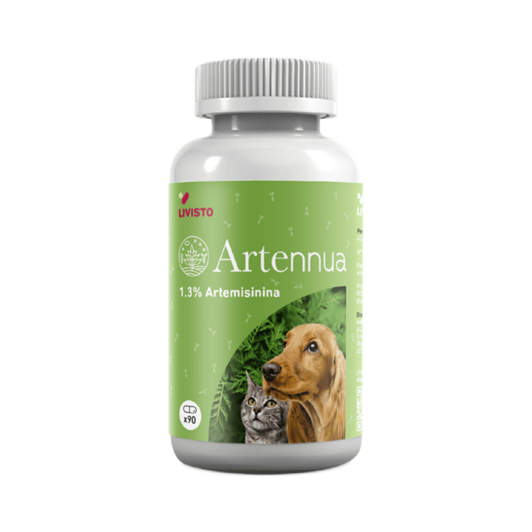 Artennua