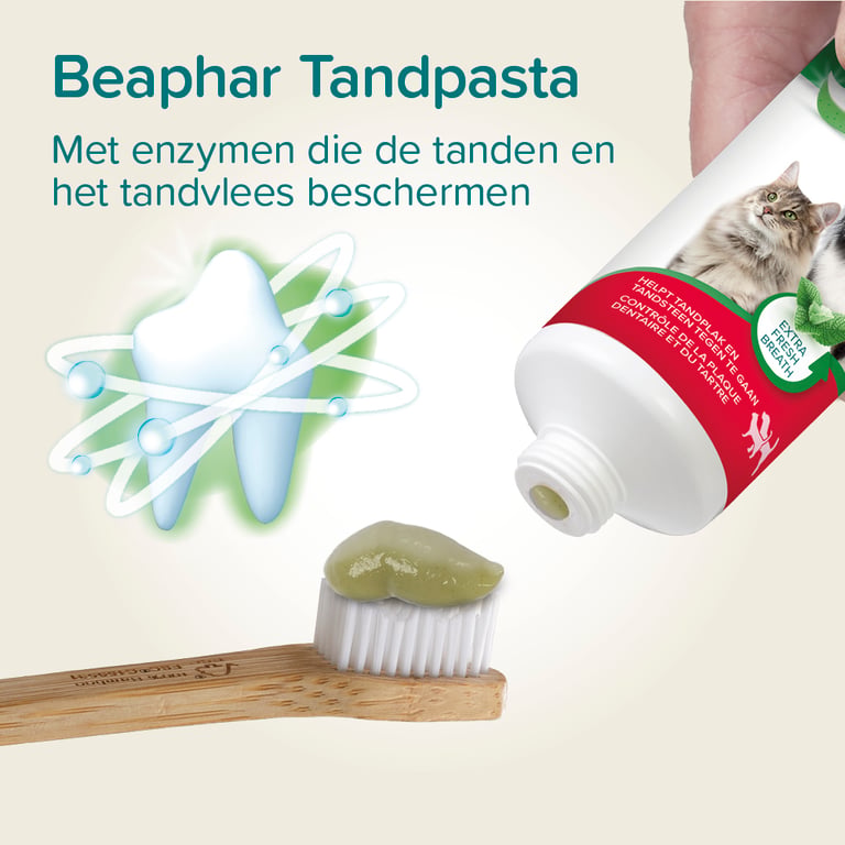 Dentifricio Menta e Prezzemolo - imagen 2 de 5