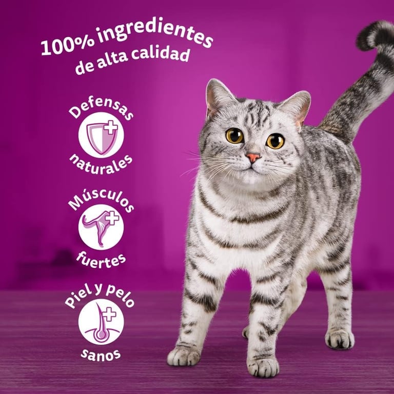 Sélection Poisson en Gelée - imagen 2 de 4