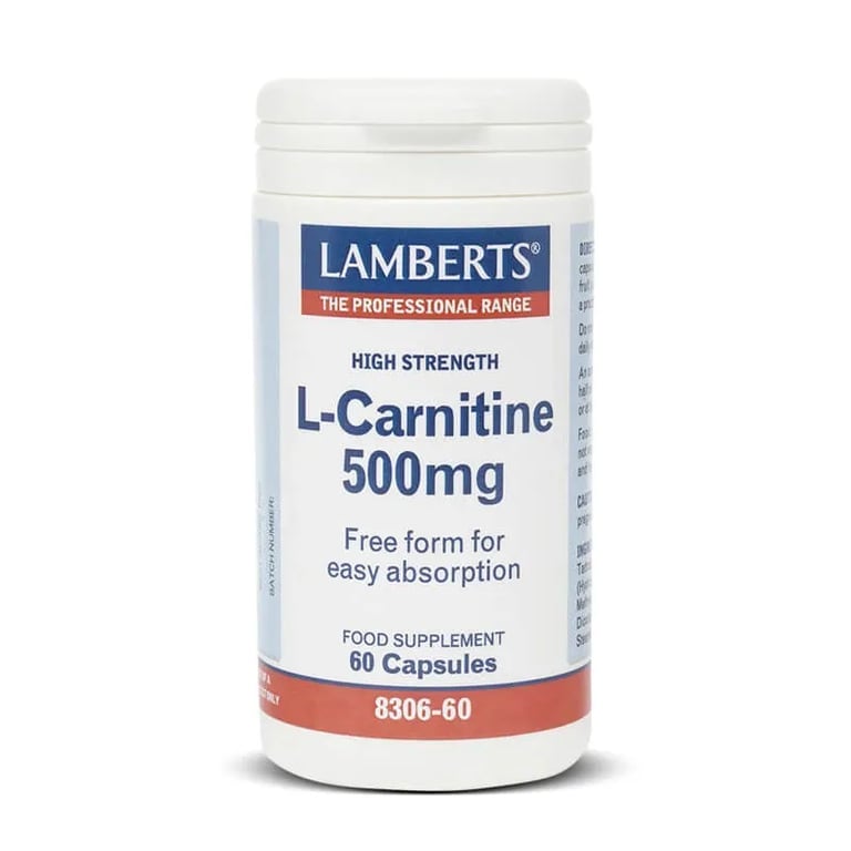 L-CARNITINA 500mg