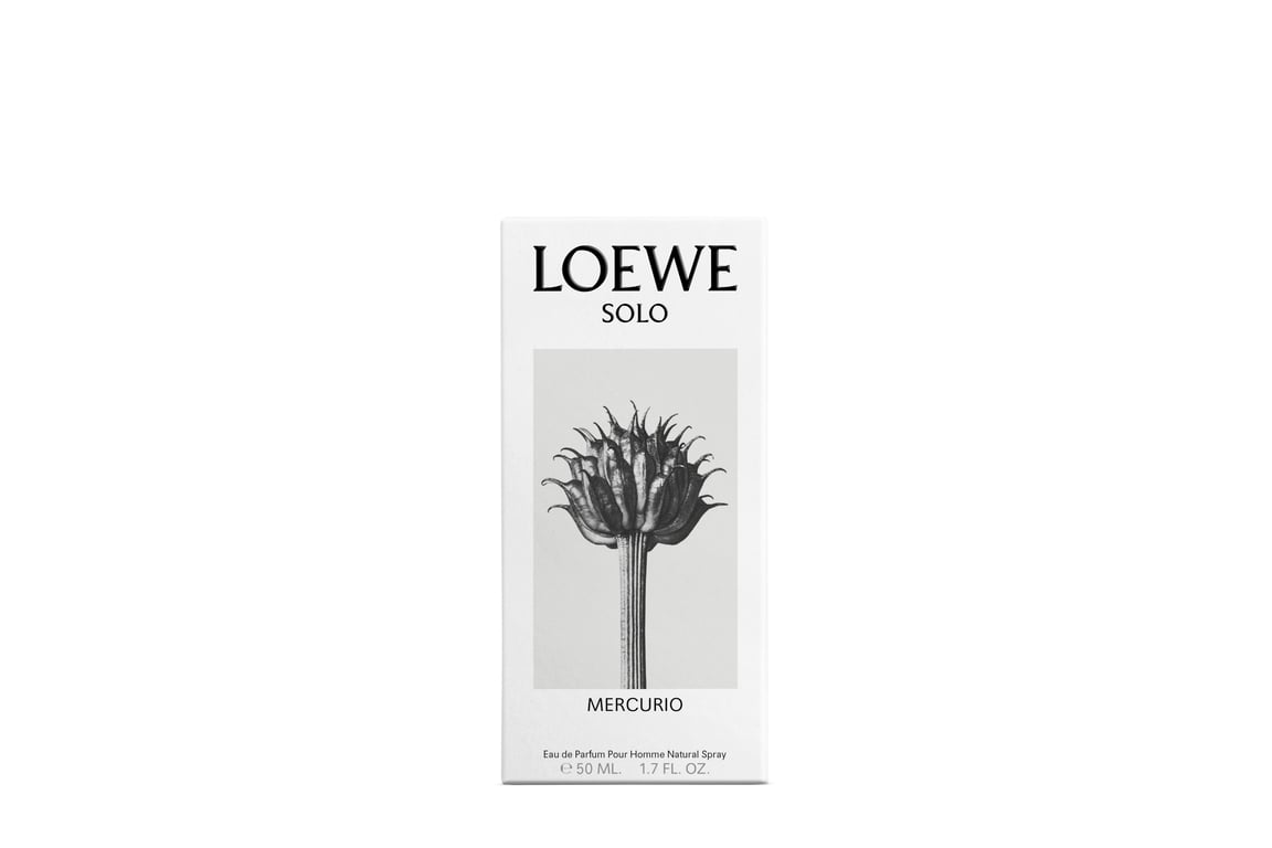 Solo Loewe Mercurio EDP Homme 50 ml de Loewe