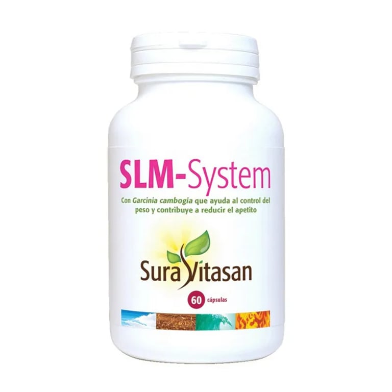 SLM-System