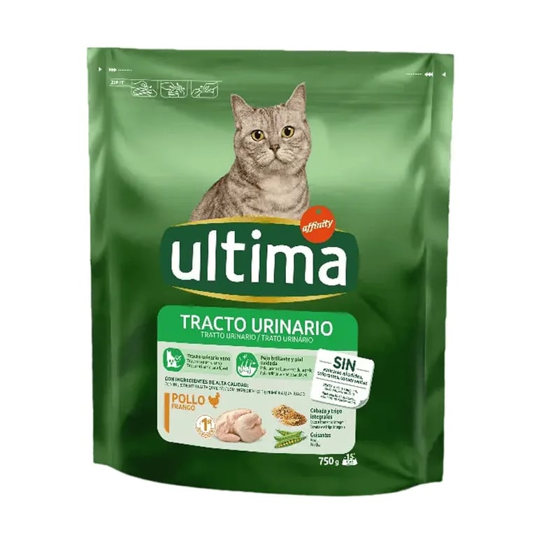 Cat Tractus Urinaire Poulet