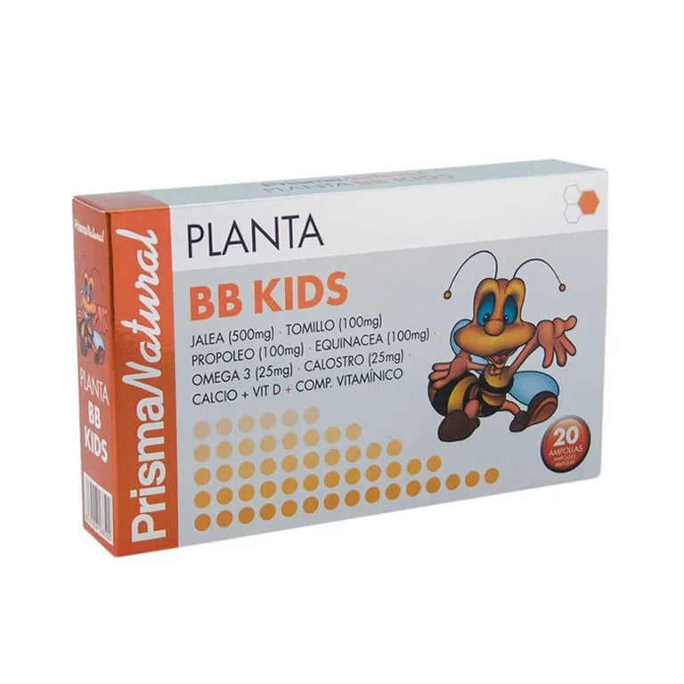 Planta Bb Kids
