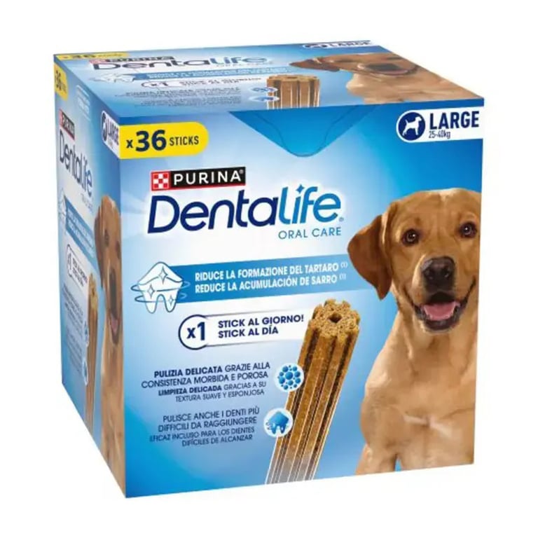 Dentalife Large