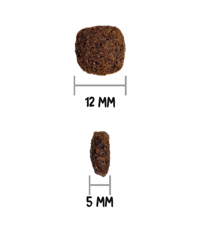 Ultra Medium Junior Dog - imagen 4 de 4