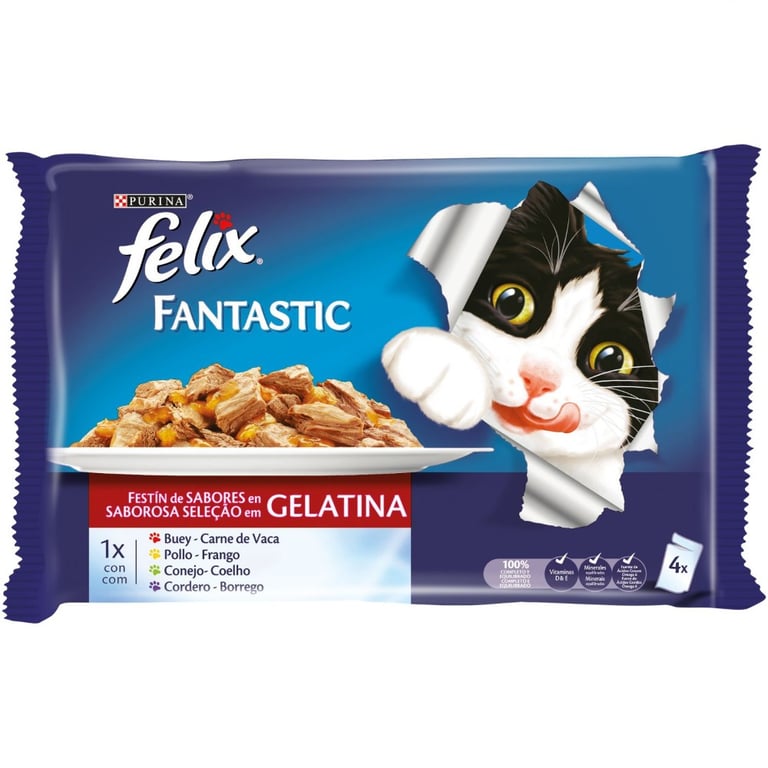 Fantastic Festín de Carnes en Gelatina
