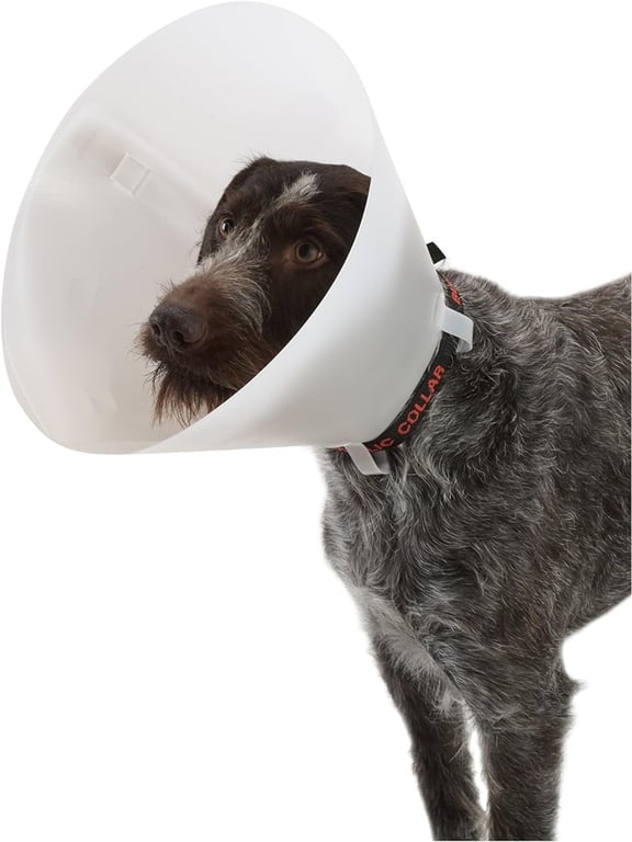 Collar Buster Isabelino Opaco Nº 10