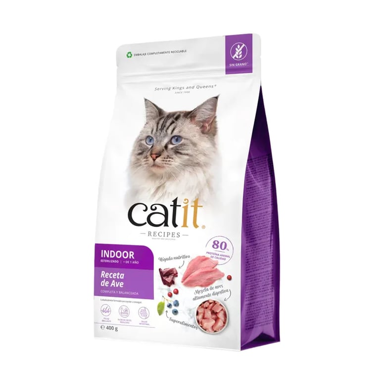 Penso Gatto Sterilizzato Recipes Uccelli