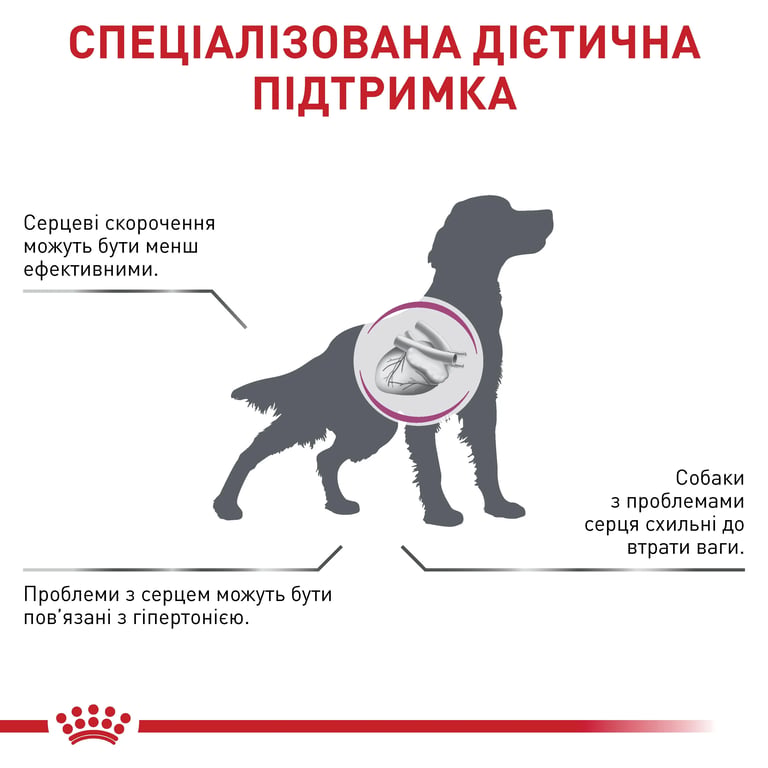Veterinary Cardiac Cani - imagen 5 de 7